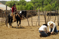 USA-Arizona-Cattle Ranch in Pleasant Valley